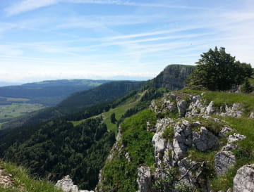 Mont d'or